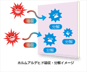 特長2吸収分解し再放出しない