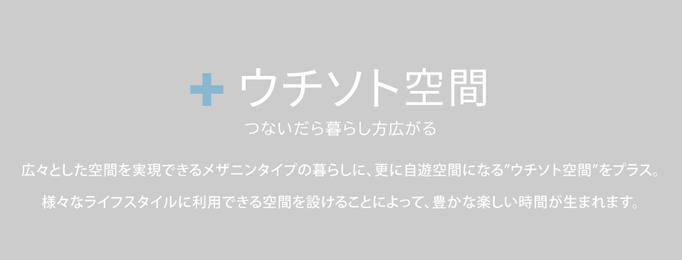 広々とした空間を実現できるメザニンタイプの暮らしに、更に”自遊空間”をプラス。