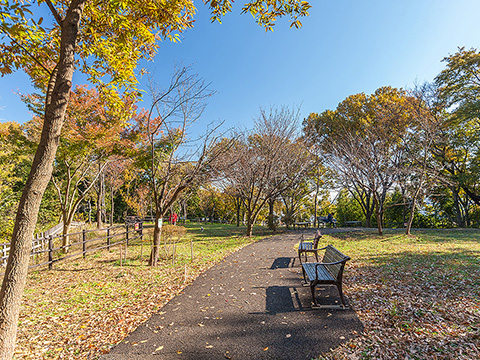 日吉の丘公園