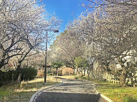 日吉本町西原公園