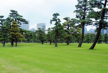 鶴ケ城公園