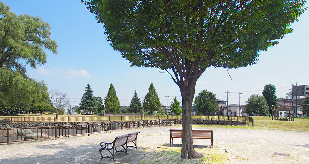 今泉中央公園