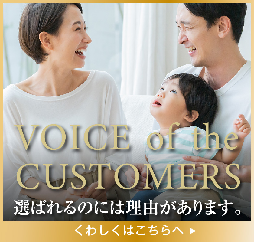 voice