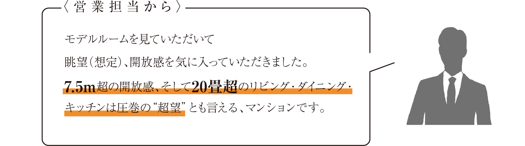 営業担当からのコメント モデルルームを見ていただいて眺望（想定）、開放感を気に入っていただきました。7.5m超の開放感、そして20畳超のリビング・ダイニング・キッチンは圧巻の“超望”とも言える、マンションです。