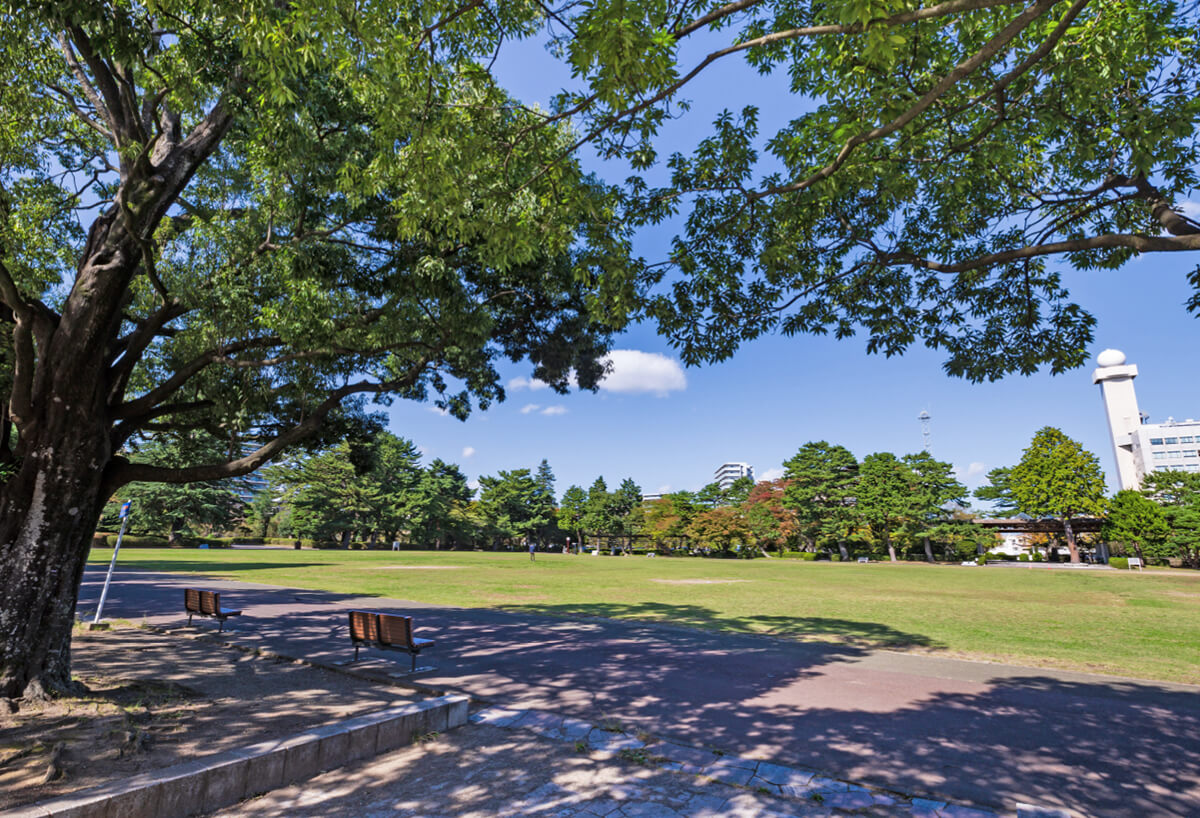 榴岡公園