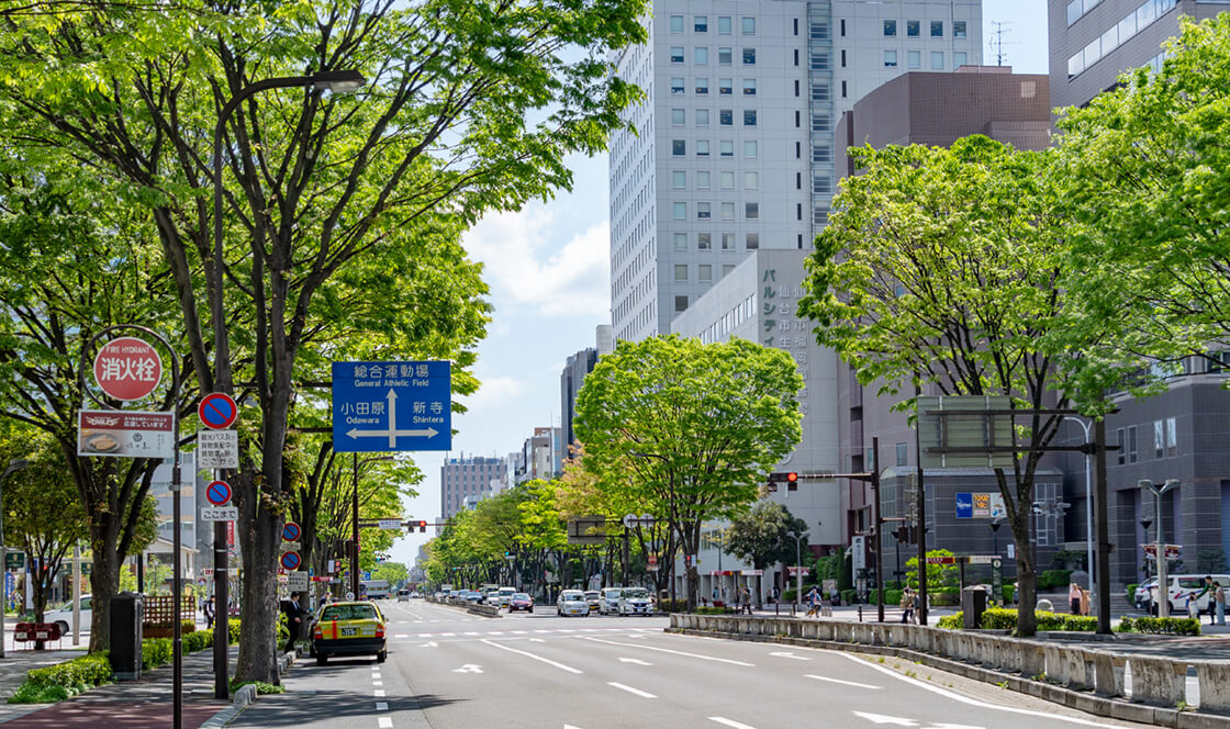 宮城野通り（約380m）