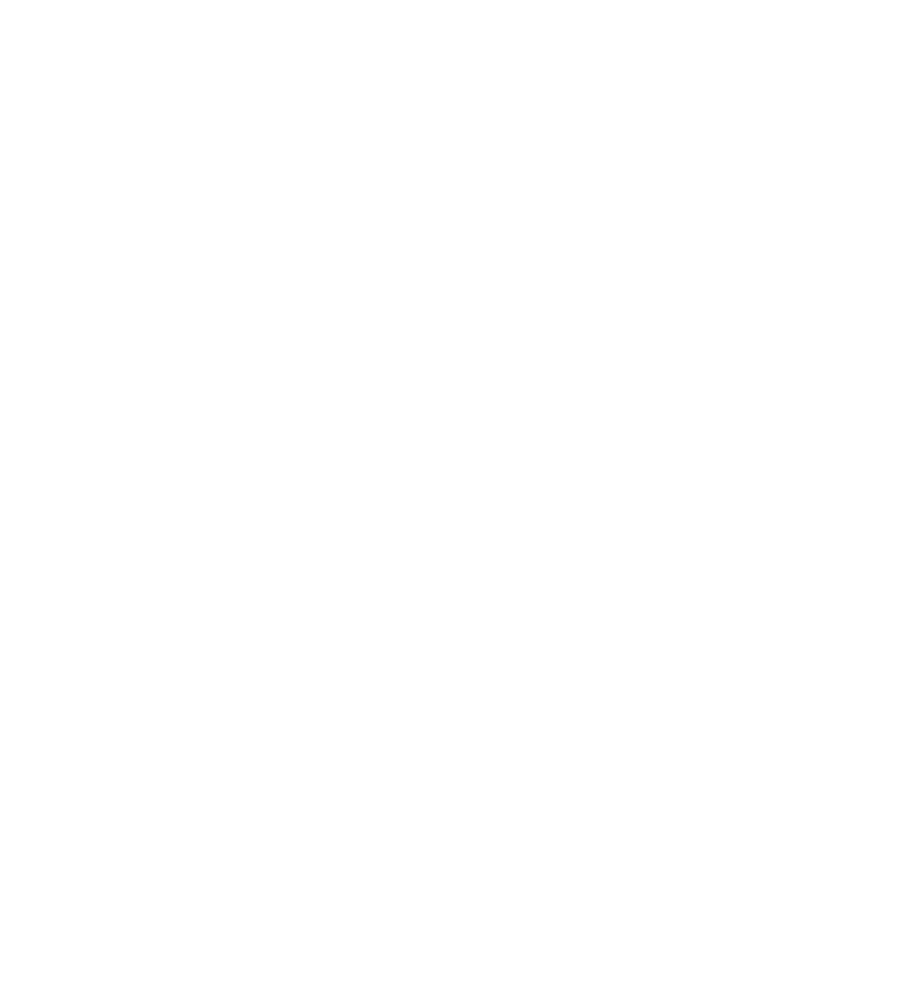 VOICE of the CUSTOMER