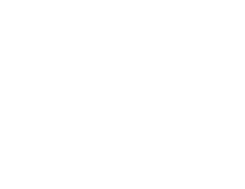 耐震強度1.25倍