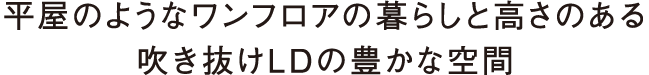 平屋のようなワンフロアの暮らしと高さのある<br>吹き抜けLDの豊かな空間